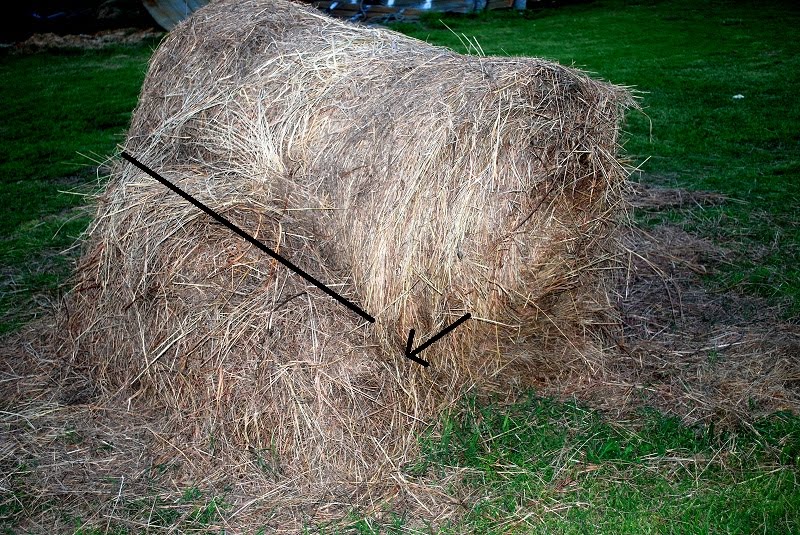 How To Feed A Round Bale Oak Hill Homestead