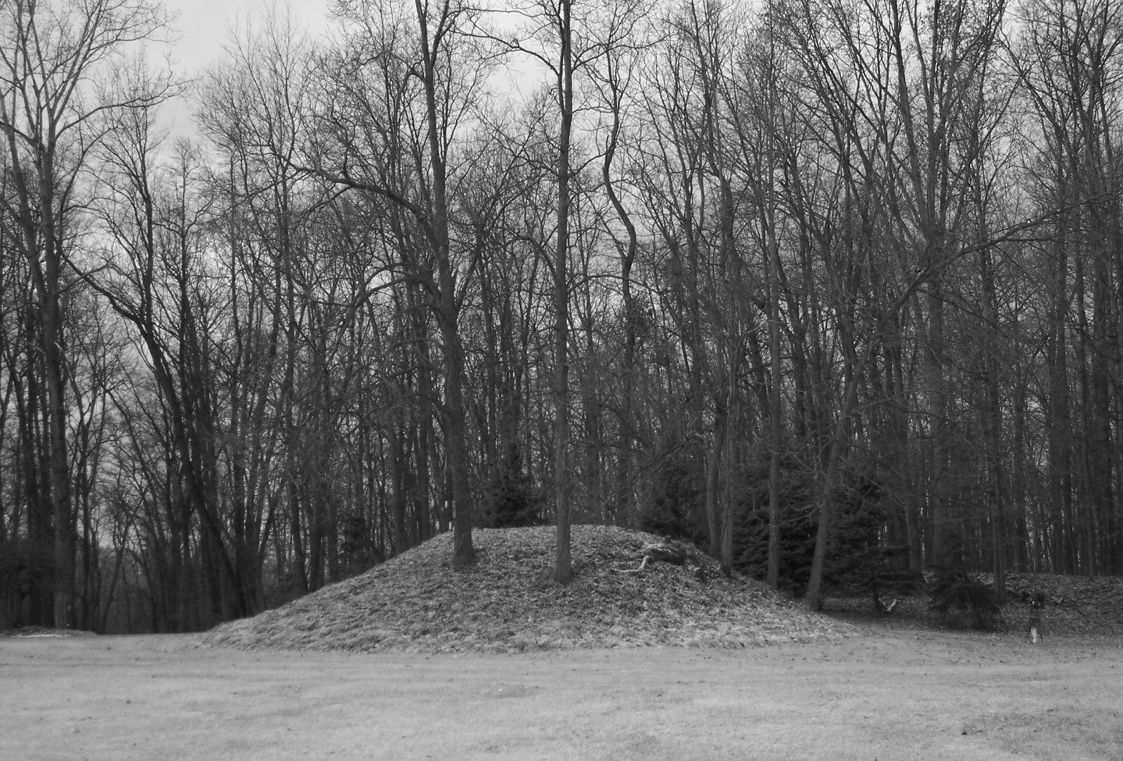 American Indian's History and Photographs Iroquois Indian Charnel