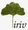 Iriv