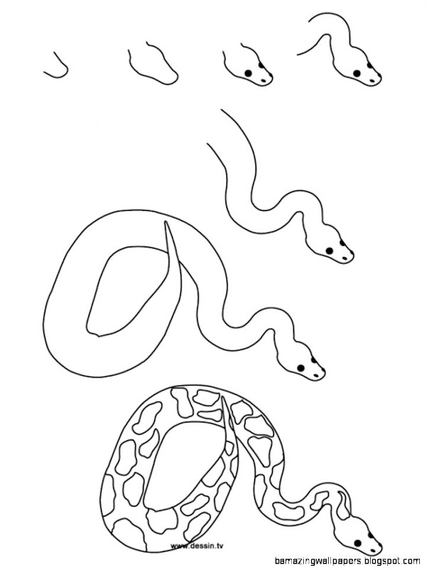 drawing python snake drawing python snake