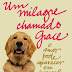Um Milagre Chamado Grace - Kristin Von Kreisler