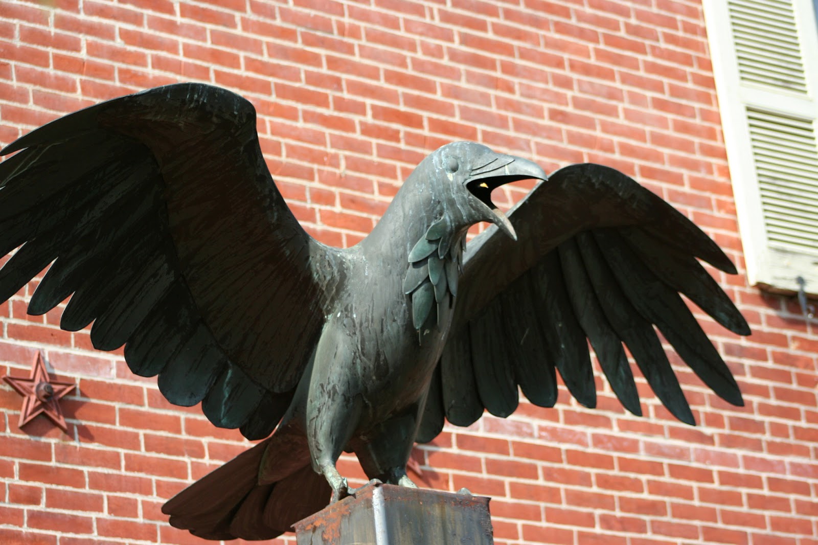 Delco Daily Top Ten Top 10 Sports Teams Named After Birds