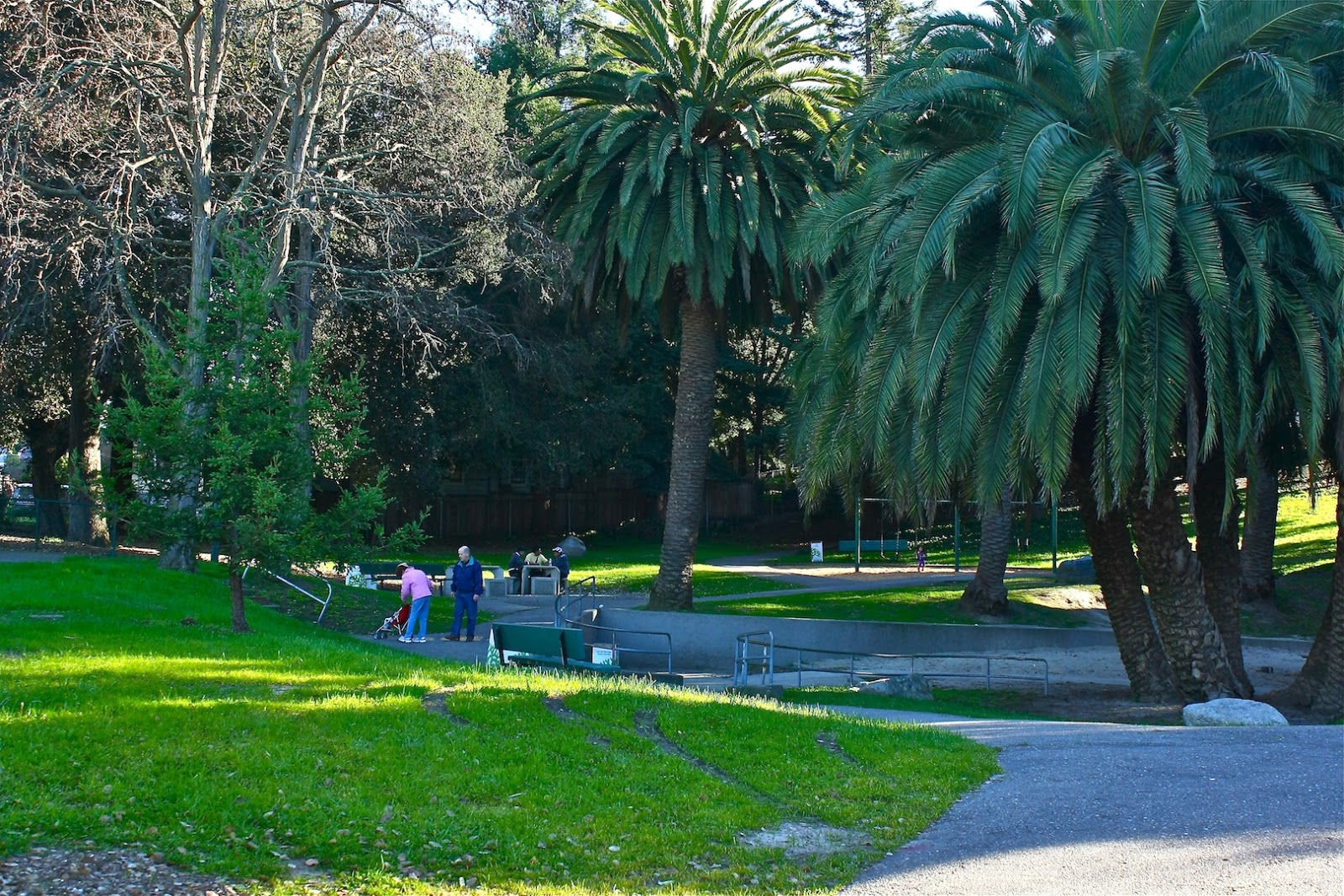 Oakland Daily Photo January 2013