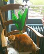 Un p'tit brin de muguet. (img )