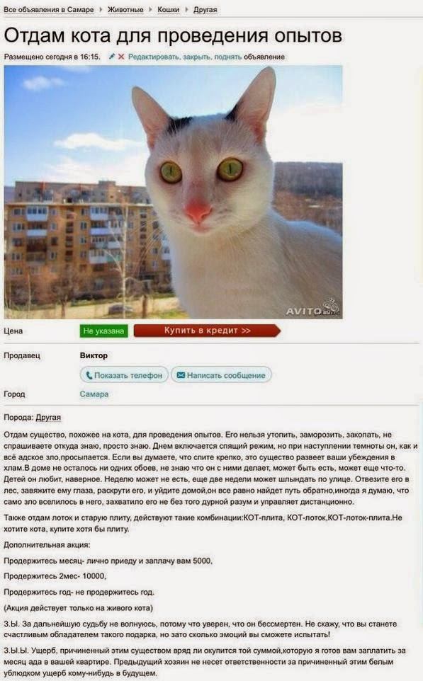 otdam-kota-dlja-provedenija-opytov(597x9