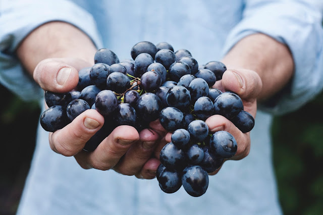 5 MUST SEE Educational Food Documentaries {Available on Netflix} 5 MUST SEE Educational Food Documentaries {Available on Netflix}