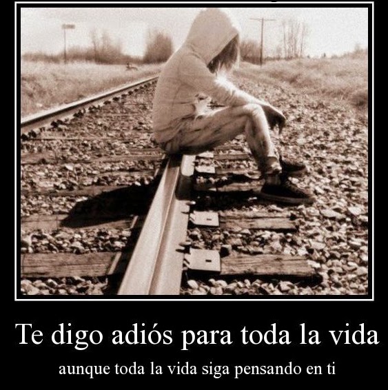 Imagen relacionada