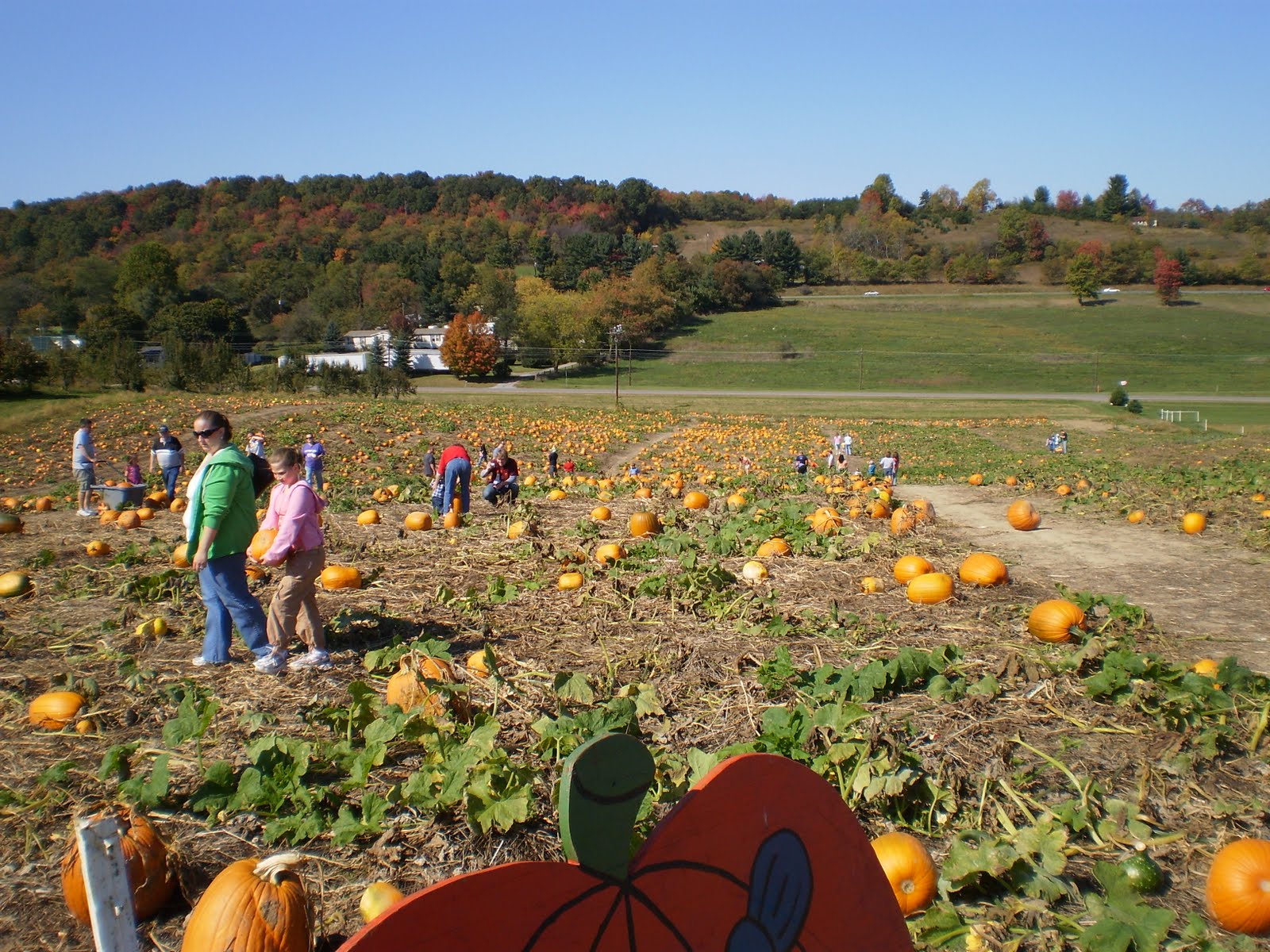 One Simple Country Girl: A Visit to the Punkin' Patch!