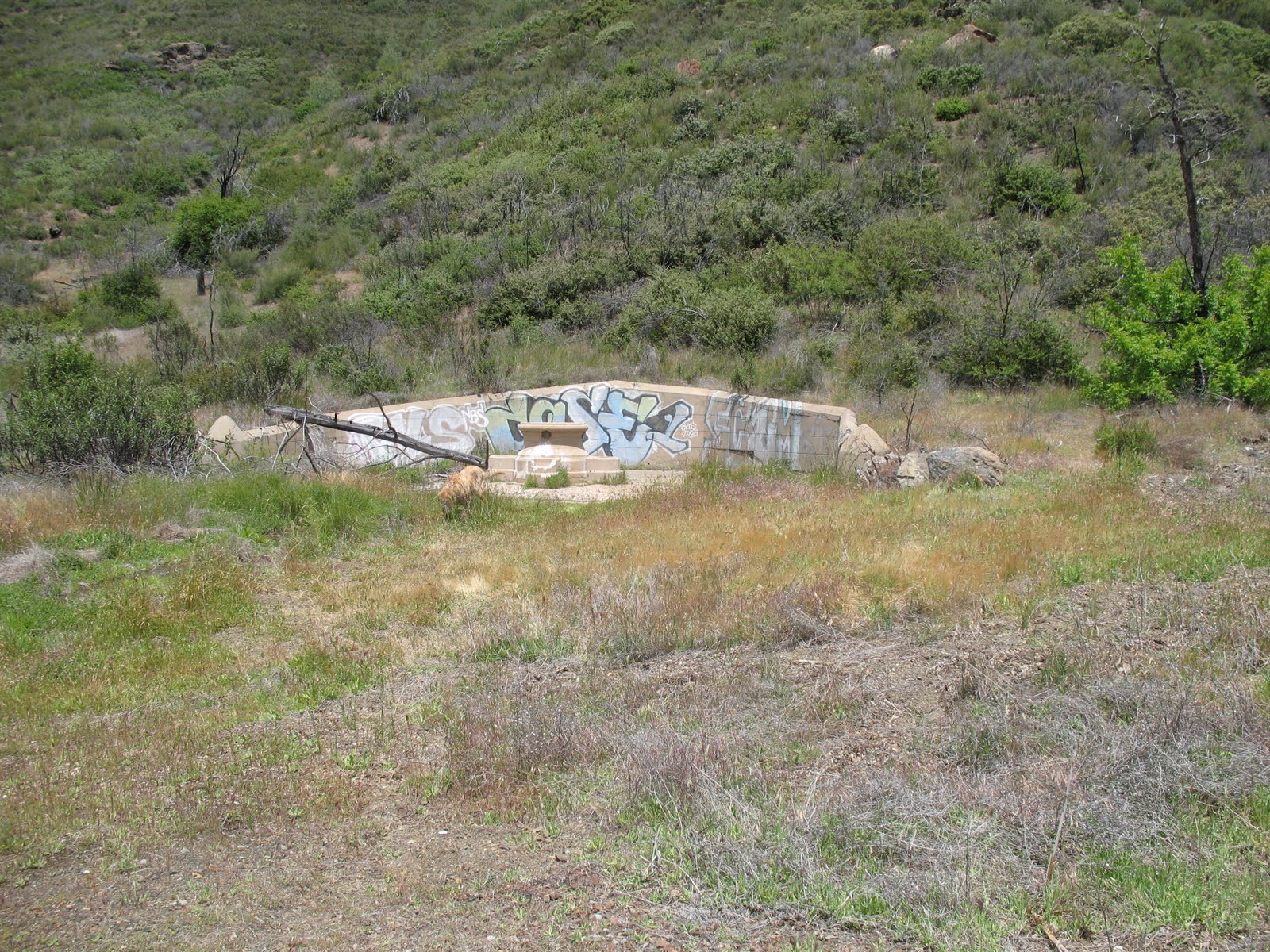 Mendocino National Forest NorCal FJs