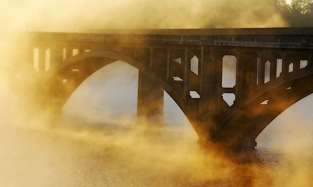 Fog And Light