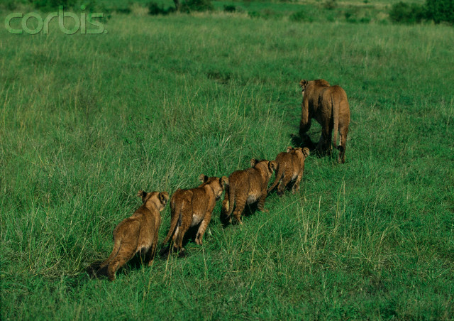 [Hình: vfun%252540yahoogroups.com%2B%2525287%252529.jpg]