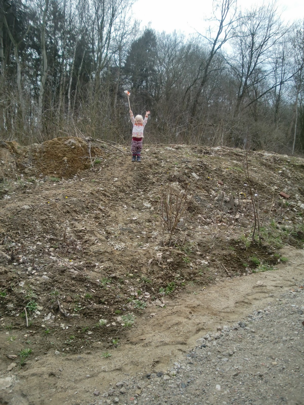 rockelfe Der Hügel im Garten