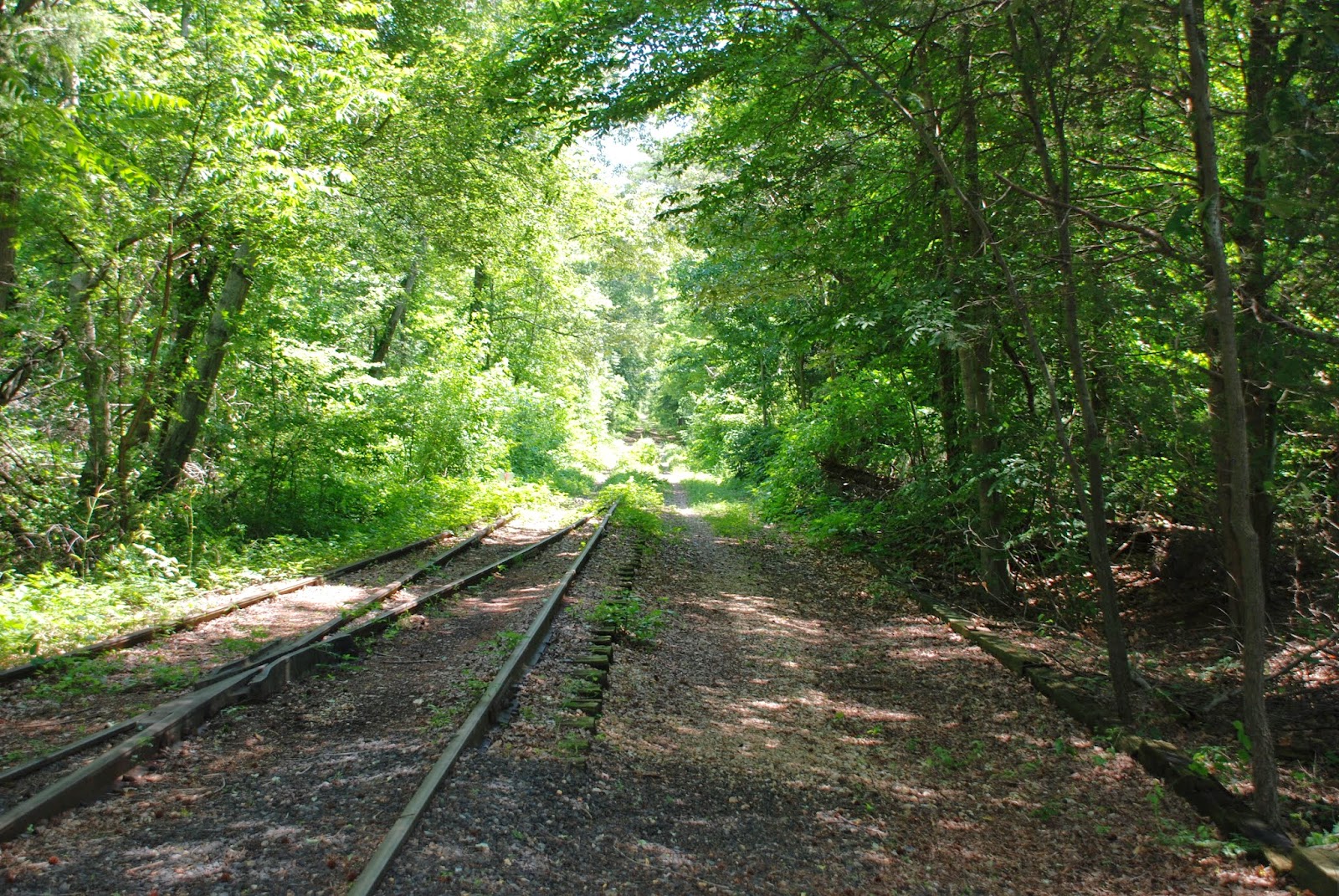 Fifty Hikes at 50 24 Dahlgren Railroad Heritage Trail