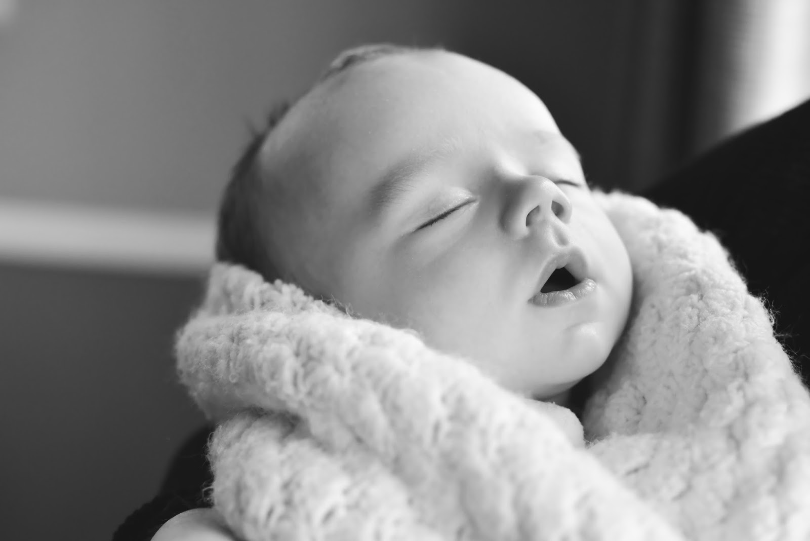 Utah Family & Newborn Photographer Heather Luczak
