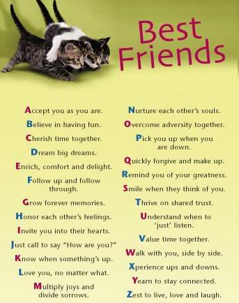 Best Friend Quotes Best Friend Quotes