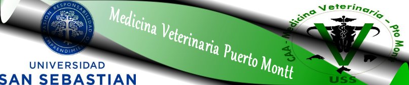 Medicina Veterinaria Pto. Montt