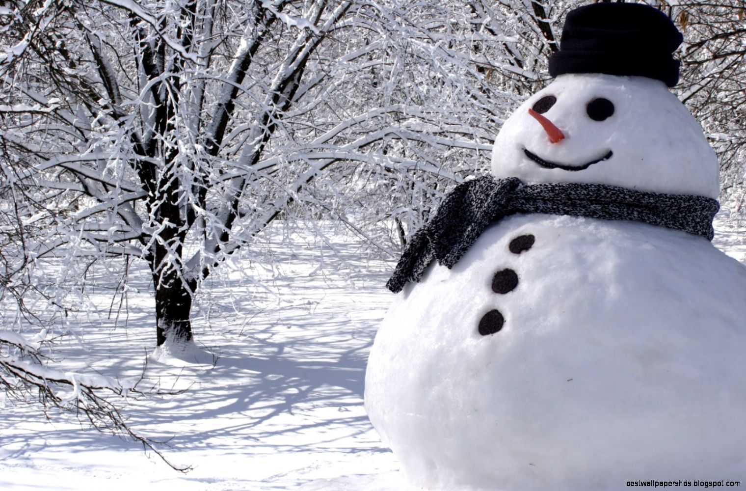The Science Behind Building the Perfect Snowman STEMJOBS The Science Behind Building the Perfect Snowman STEMJOBS
