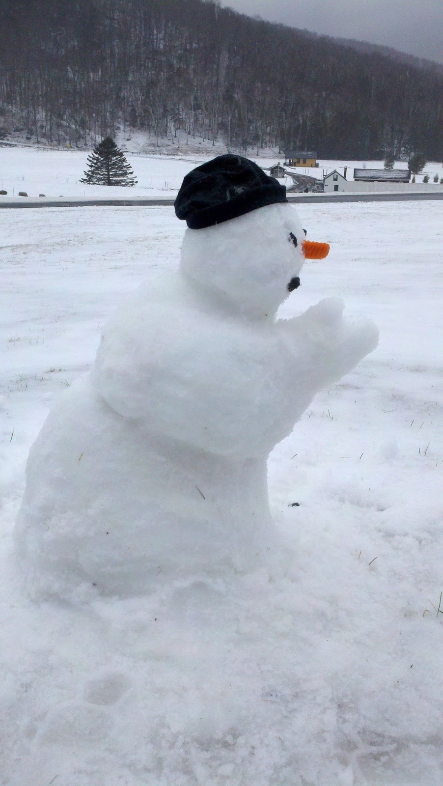 White Mountains Adventure Concierge Pray for Snow