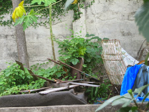 BASURA MISCELANEA  EN EL MISMO PATIO