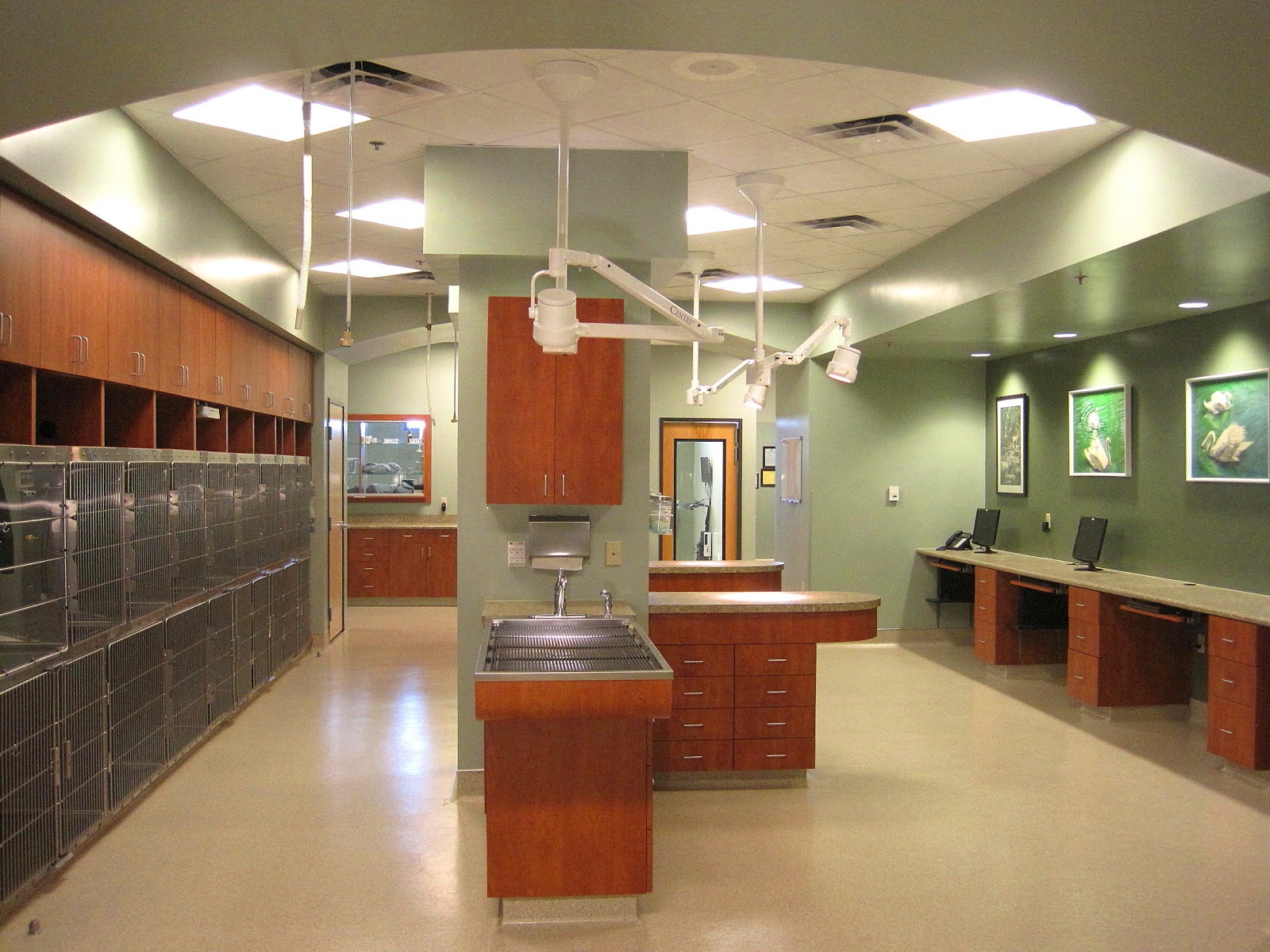 Colin Edward Slais, Architect/Designer Dreaming Summit Animal Hospital