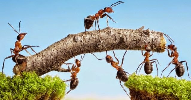 Kata Mutiara Tentang Pekerjaan | Mutiara Kata