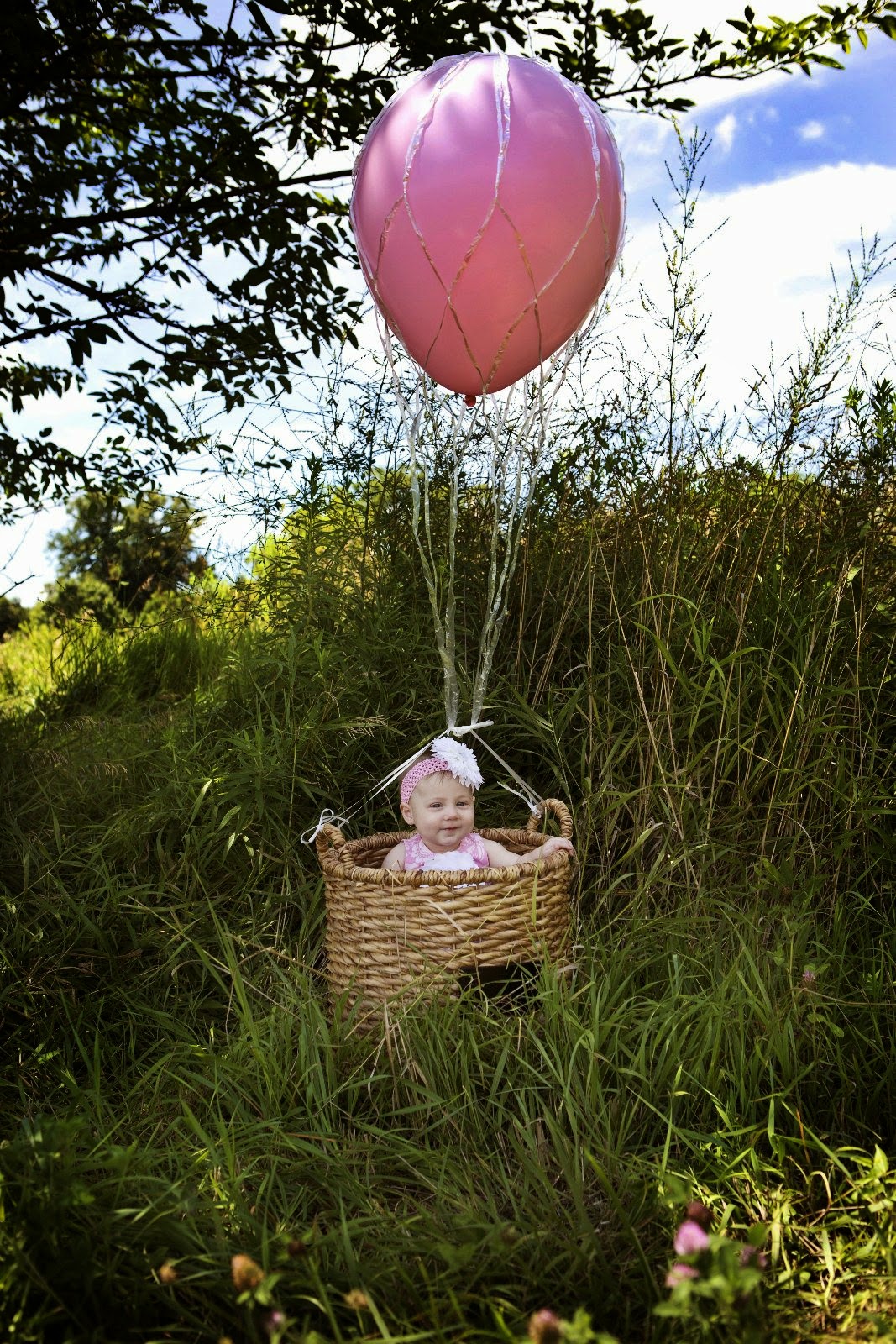 baby photo session