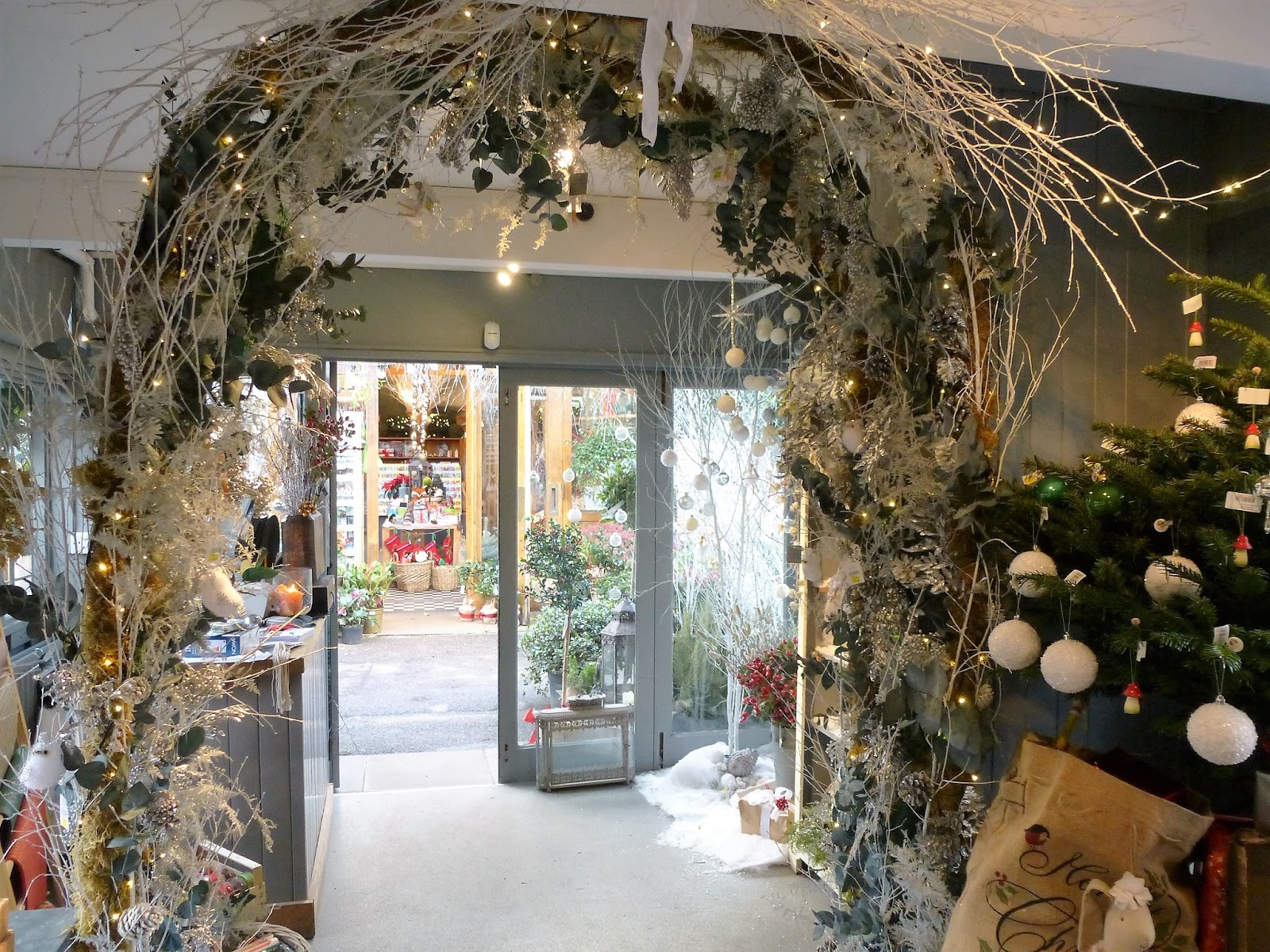 Fernando Ruz Clifton Nurseries