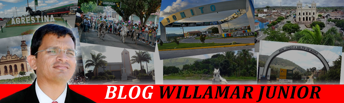 BLOG  WILLAMAR JR