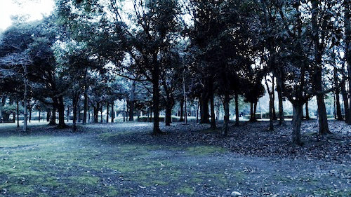 R0010473.jpeg