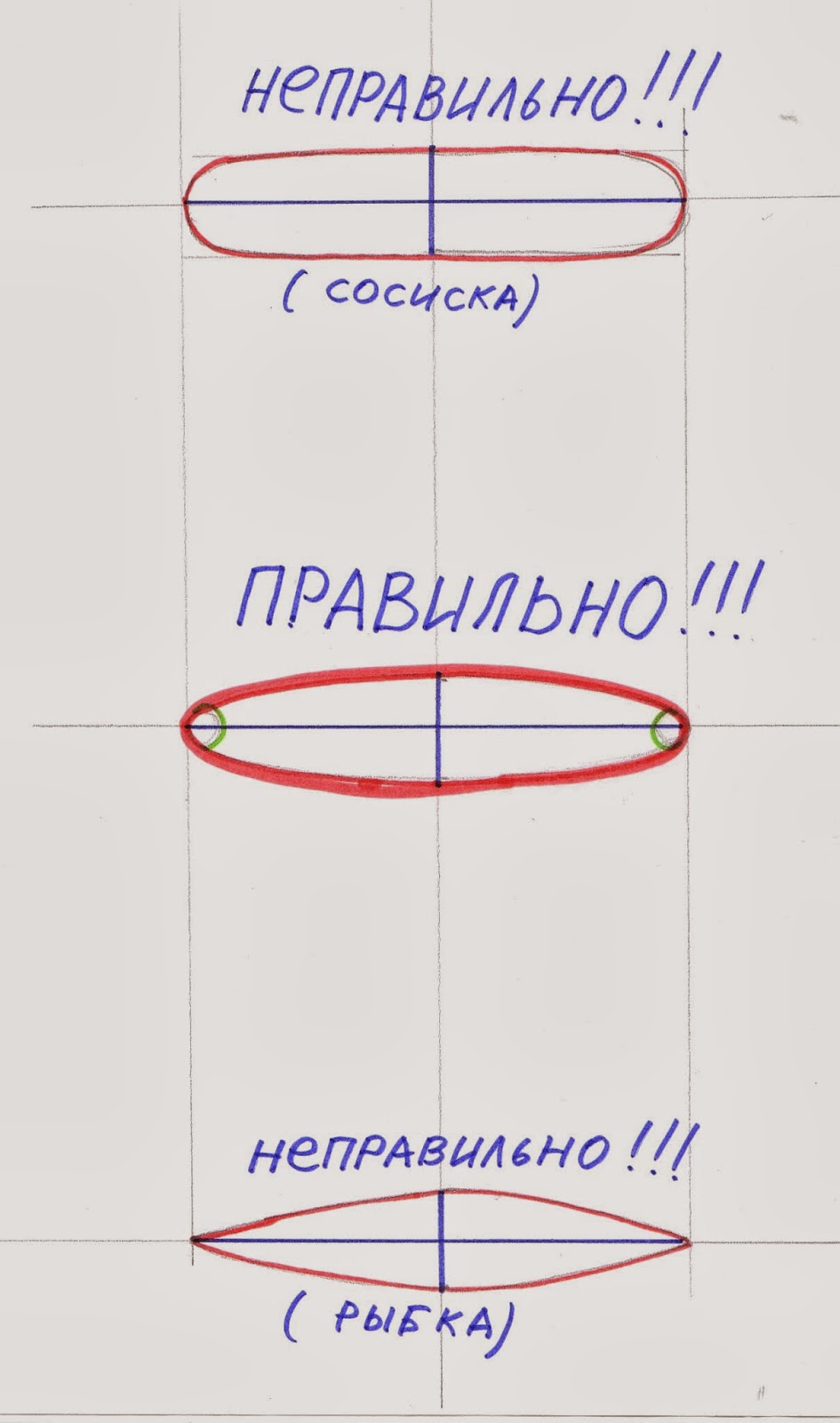 Эллипс в рисунках Эллипс в рисунках
