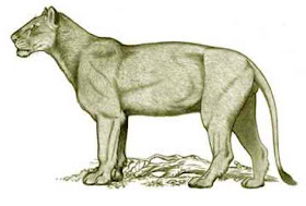 10 Jenis Kucing Prasejarah [ www.BlogApaAja.com ]
