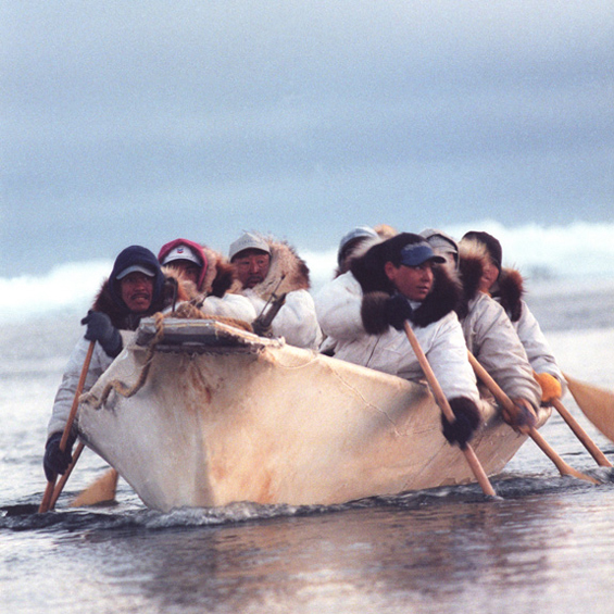 Savages! Alaskan Indigenous Whale Hunting