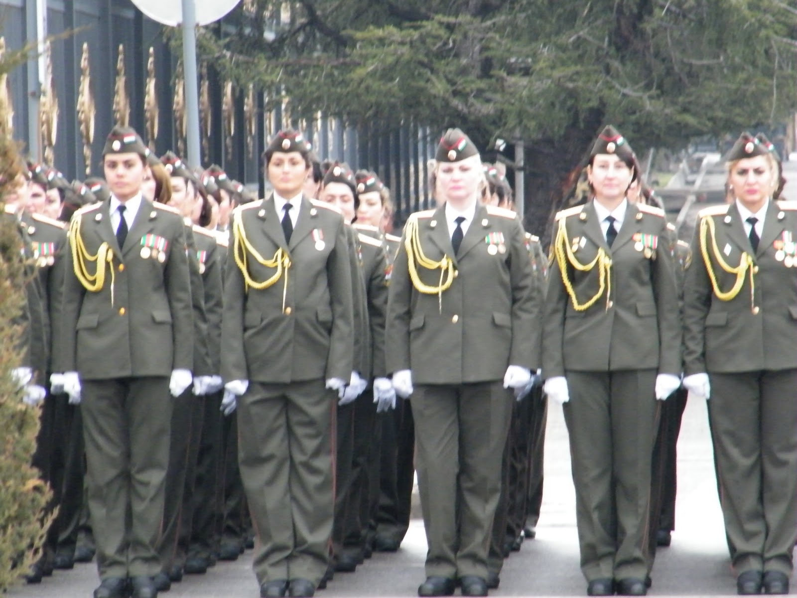 Tajikistan blog - The musings of a volunteer journey.: Army day and a