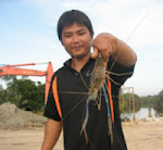 Danau KPD Lubuk Udang Galah Sepit Biru