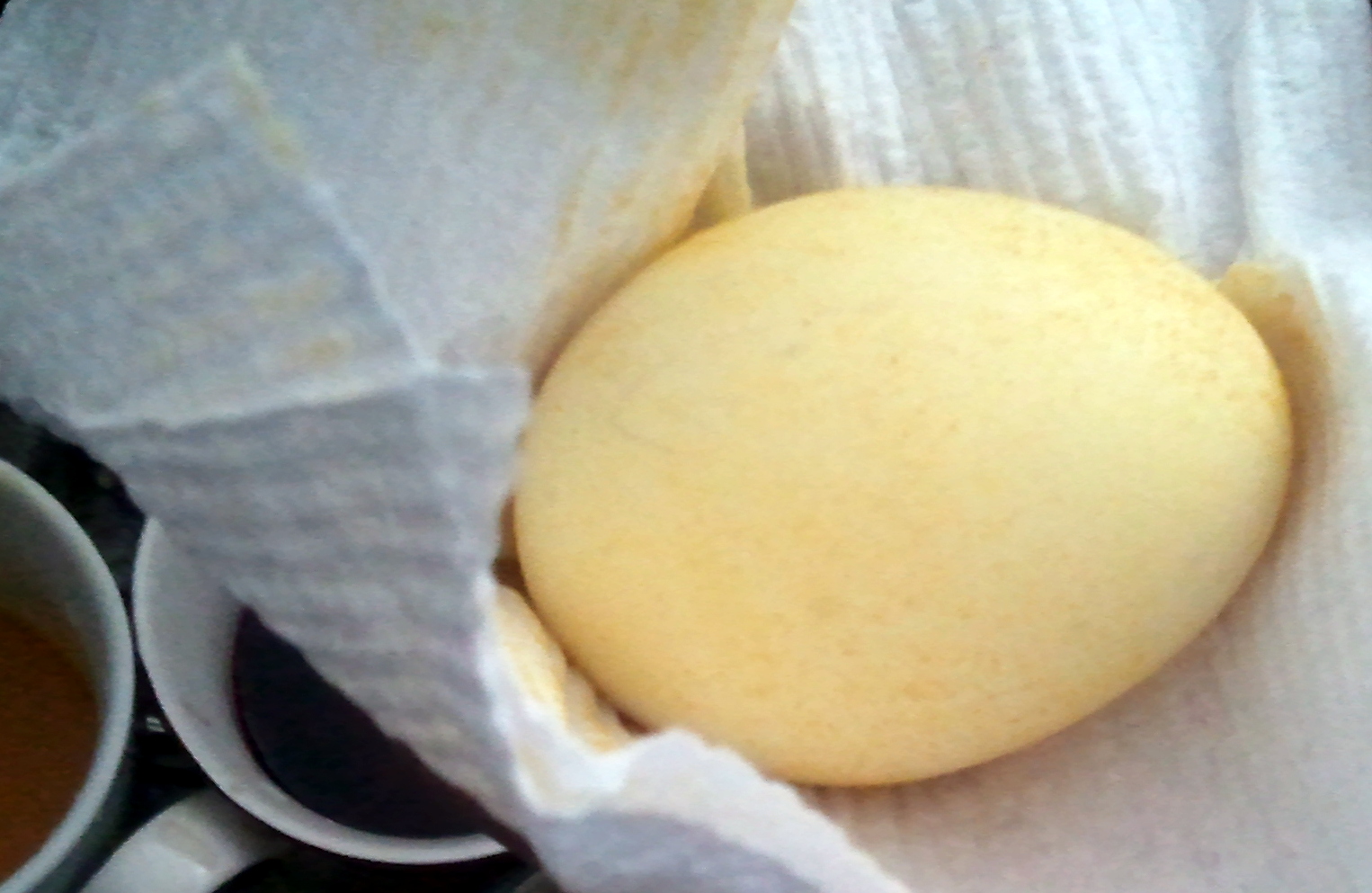 Pastel Easter Eggs Dyeing Eggs Naturally Fresh Eggs Daily®