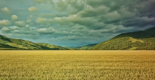 ���� ���� ������ �� ���� ������