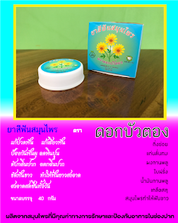 ยาสีฟันดอกบัวตอง