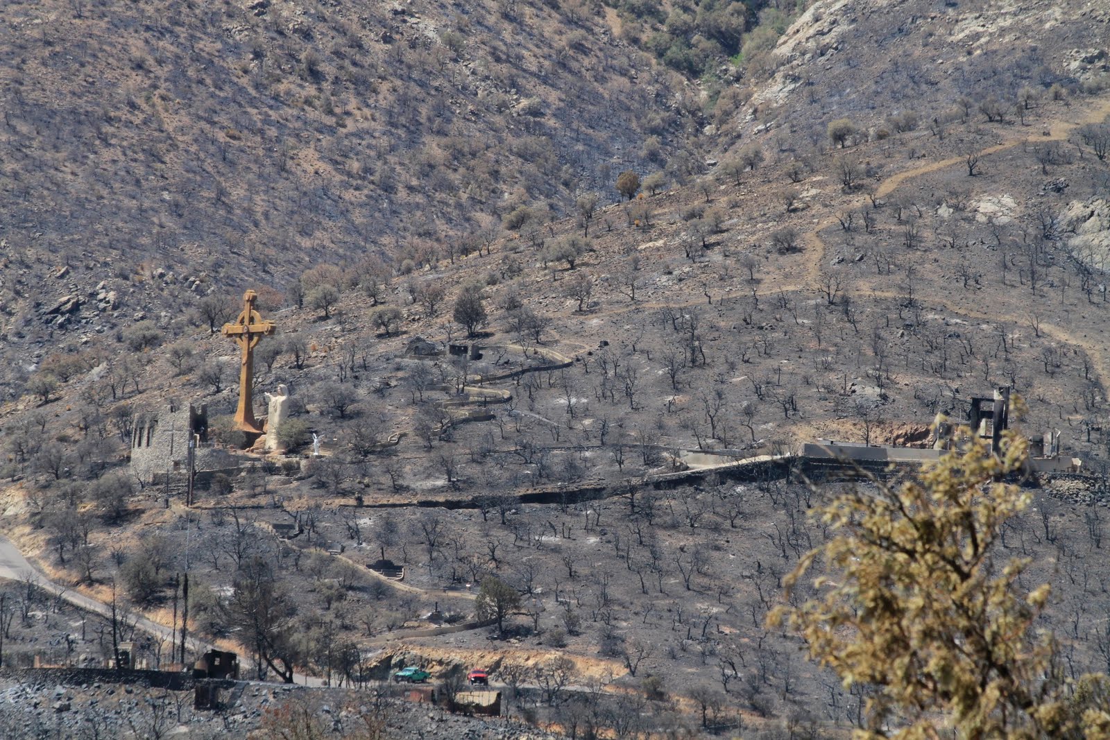Sonoran Connection The Monument Fire Aftermath Sierra Vista