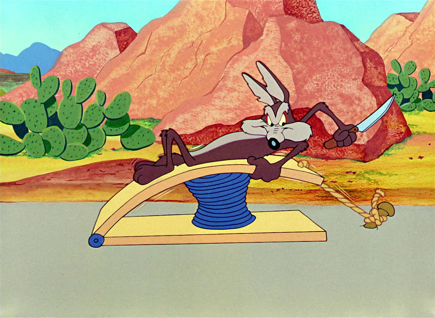 beebeep road runner beebeep road runner