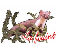 Fouine, yves untel pastel, composition.