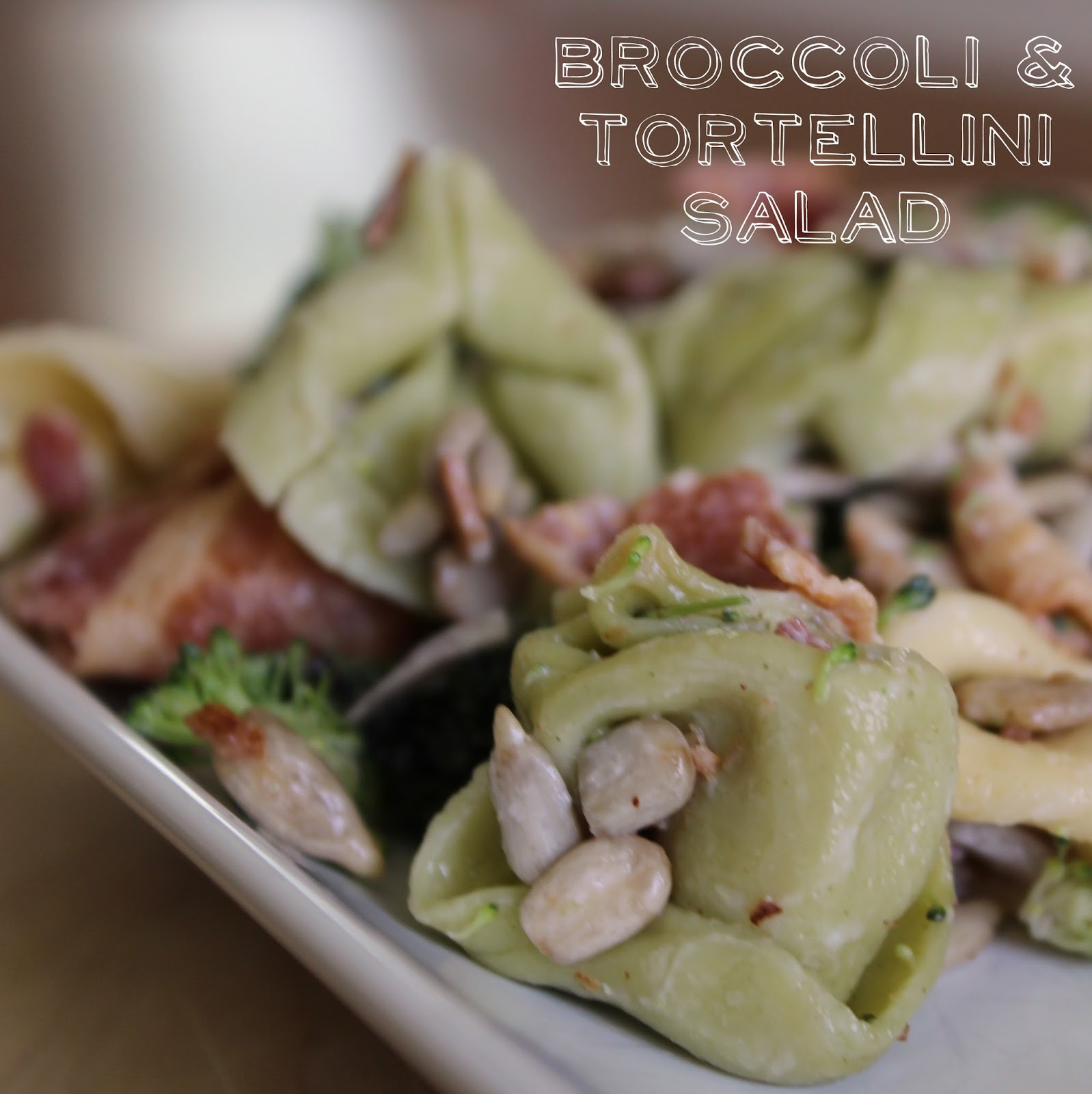 Sunny Days With My Loves Adventures in Homemaking Absolutely