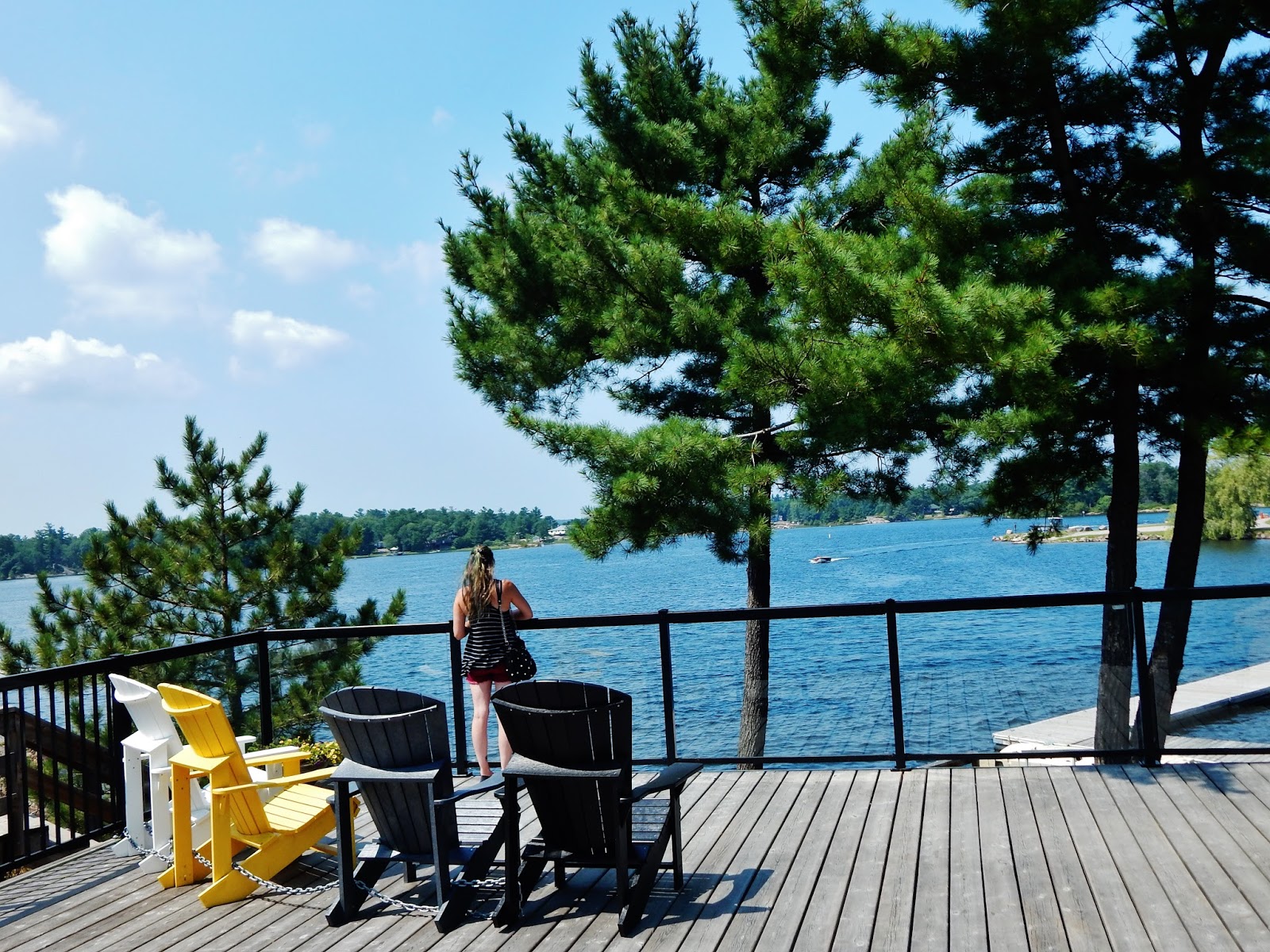 Patti Friday The Hive Honey Harbour Life Inspired by Bay