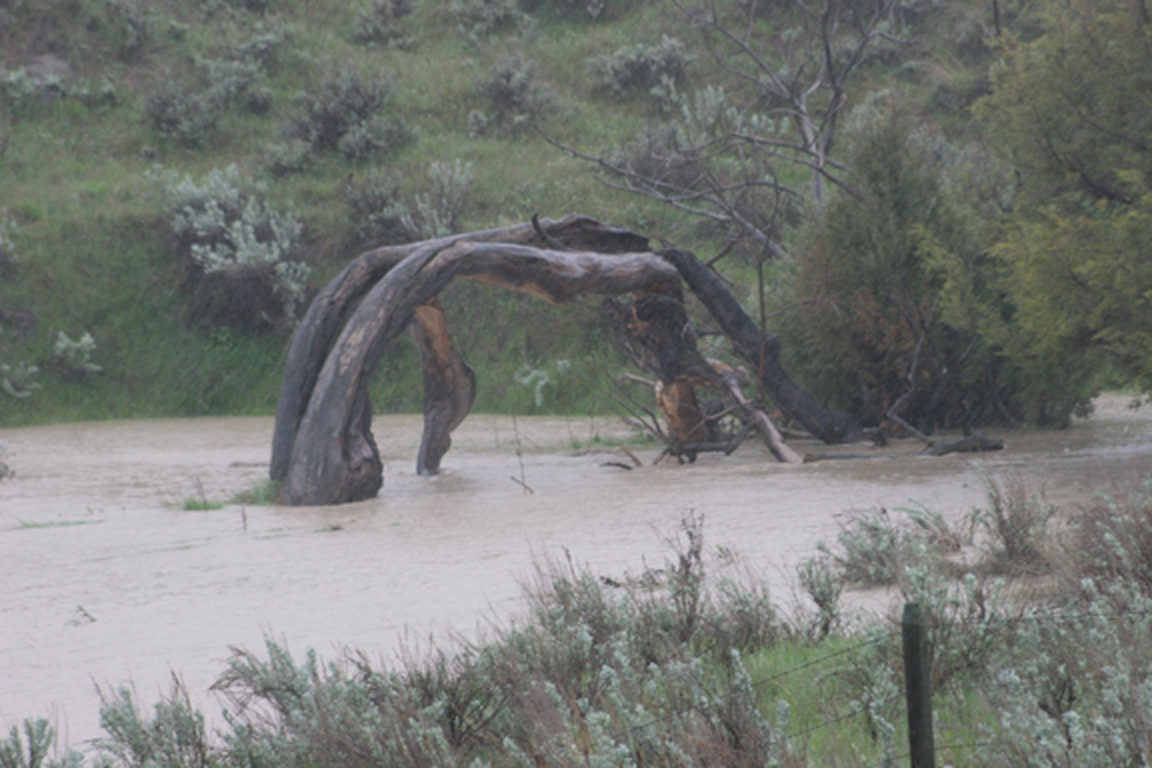 Puttin' on the Pitts Montana Flooding 2011