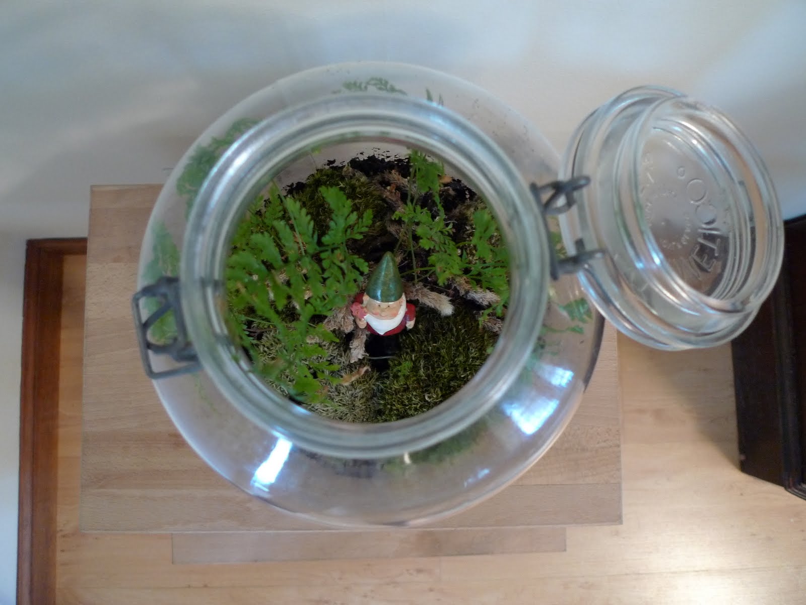 Winter Foliage The Terrarium Bug!