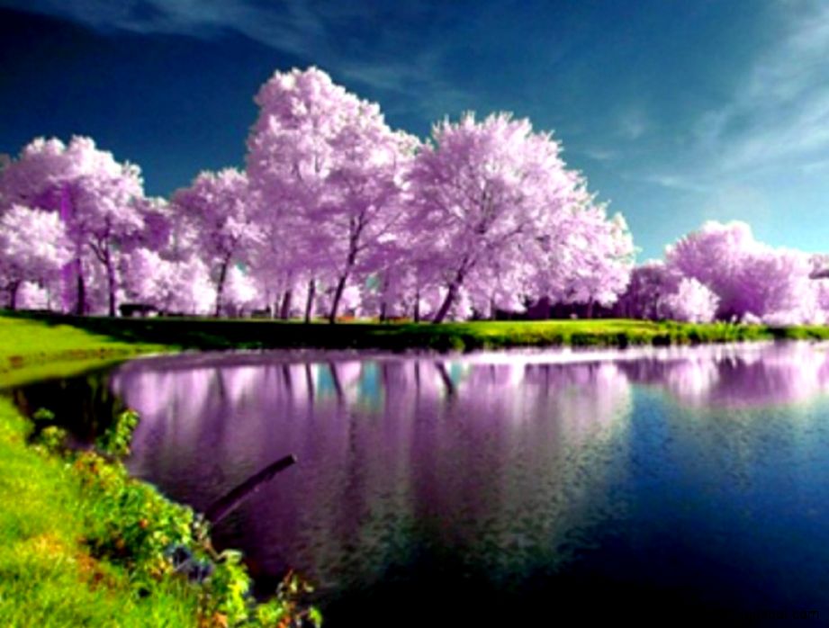 Spring Wallpaper High Res WallpaperSafari Spring Wallpaper High Res WallpaperSafari