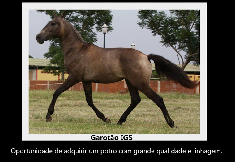 GAROTÃO IGS