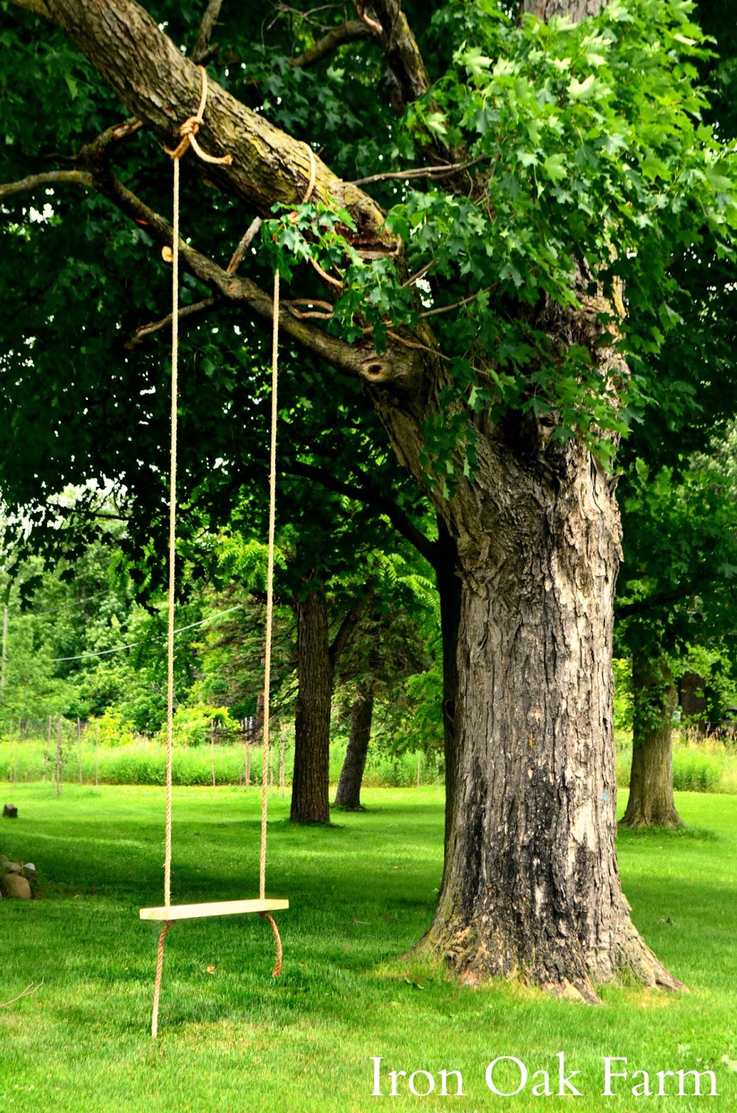 Iron Oak Farm Farmyard Tree Swing