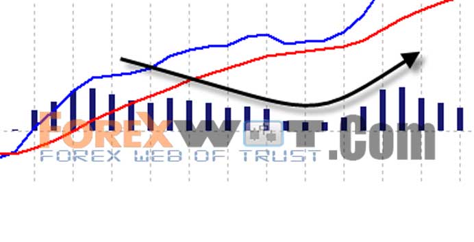 80 accurate forex system