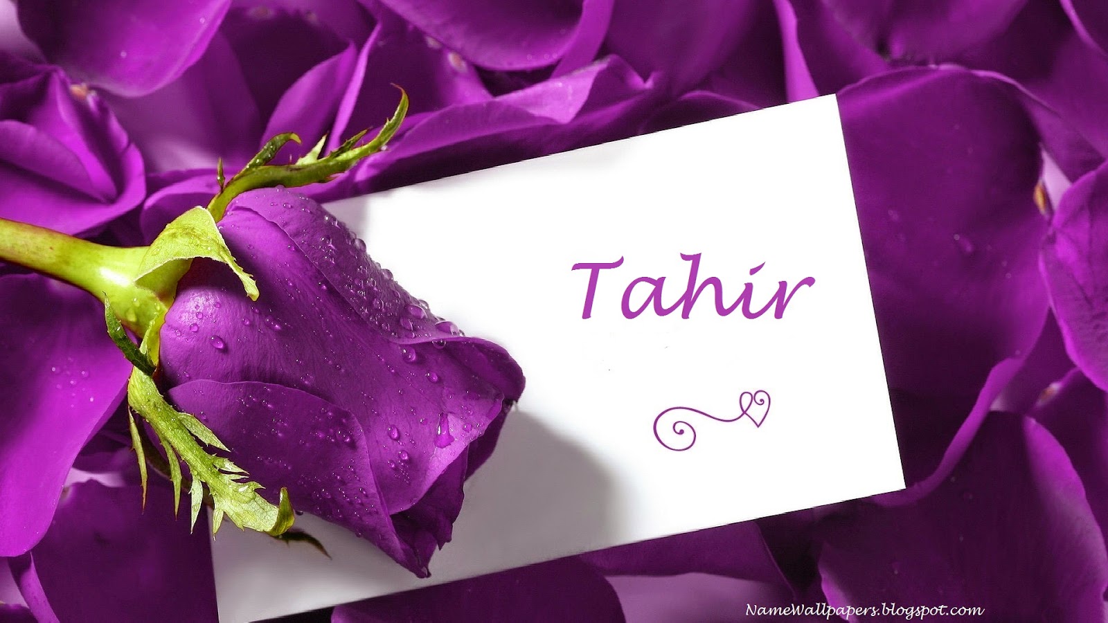 Tahir Name Wallpapers Tahir ~ Name Wallpaper Urdu Name Meaning Name