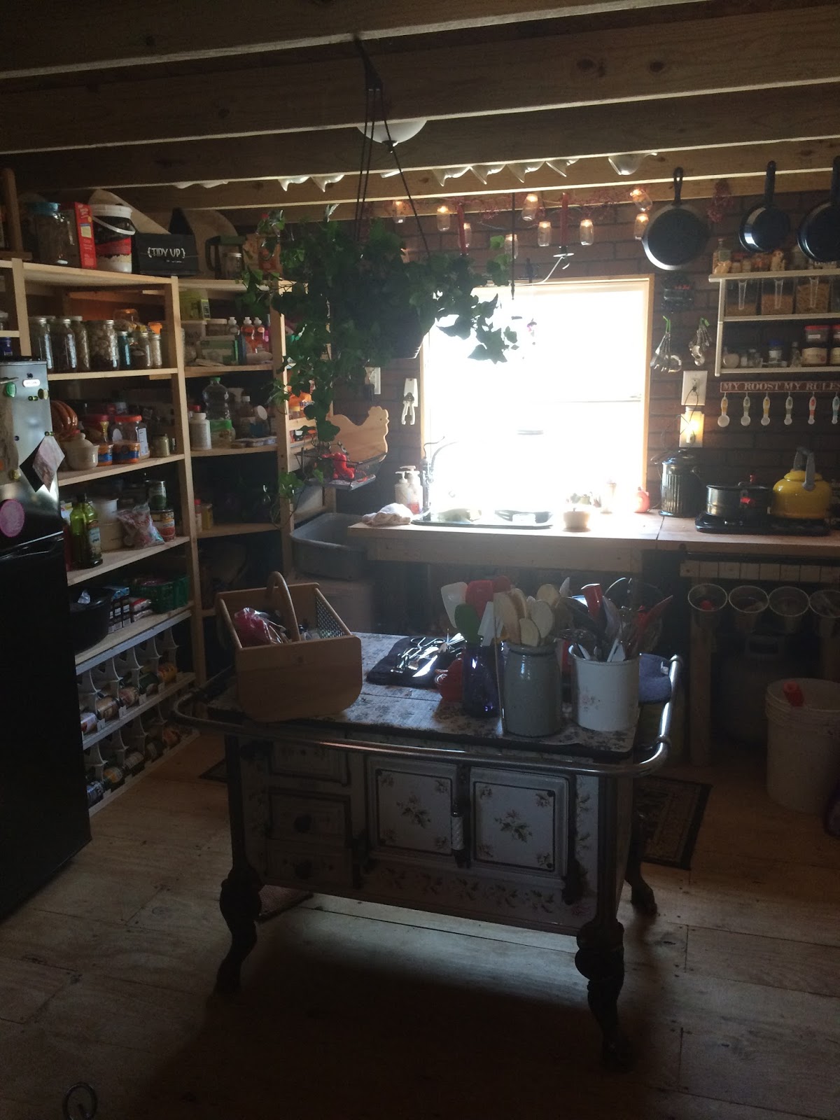 Tiny House Homestead Look inside my Shed Made into a Tiny House